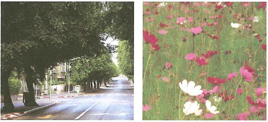 (בספר איור של ילד ולידו בועה שיש להשלים)